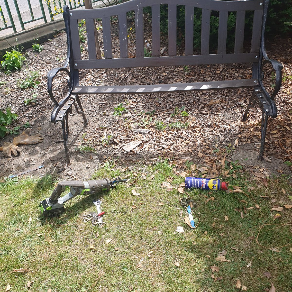 Chur Envi Volunteers tweet media