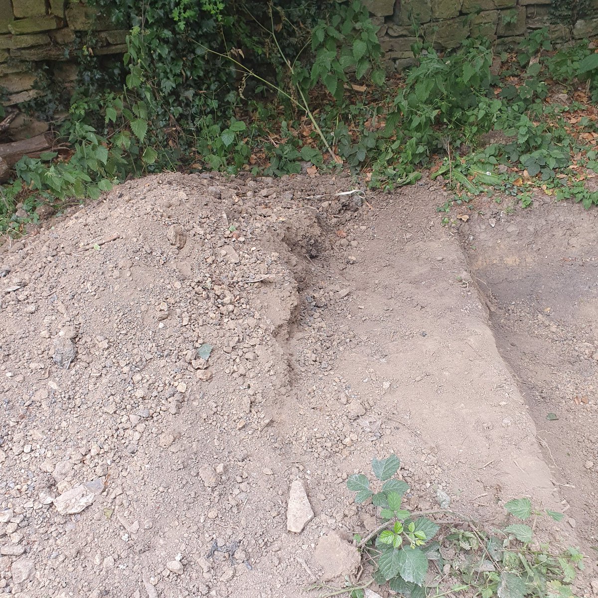 Chur Envi Volunteers tweet media