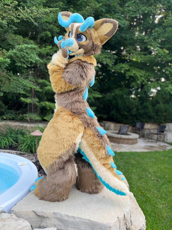 FoxandHoundFurs's tweet photo. Officially up for auction, check it out!

https://t.co/6hn8Sbfcw4

#fursuit #furry #fursuitforsale #fursuitmaker https://t.co/zYnqkPuRys