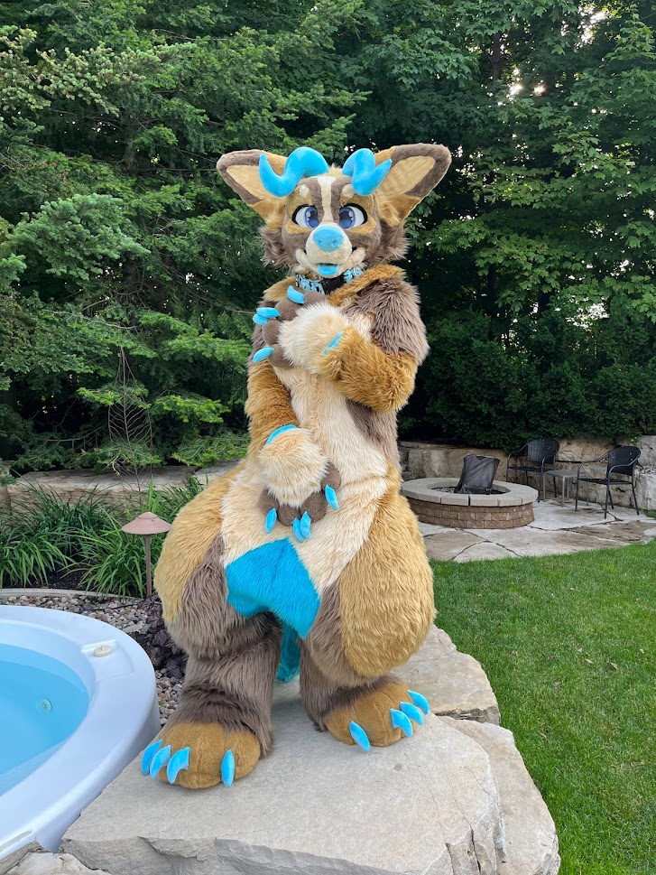FoxandHoundFurs's tweet photo. Officially up for auction, check it out!

https://t.co/6hn8Sbfcw4

#fursuit #furry #fursuitforsale #fursuitmaker https://t.co/zYnqkPuRys
