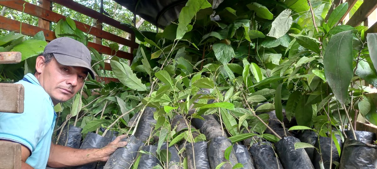 PUJSostenible's tweet photo. @UniJaveriana hace posible la siembra de árboles en La Macarena promoviendo la sostenibilidad y reduciendo la huella de carbono.💚
Lee la noticia completa aquí 👉https://t.co/tGlSySLPDH https://t.co/nTbKq6YcdJ