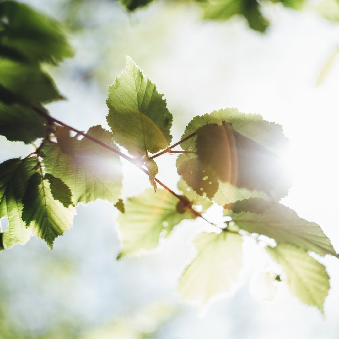 Grand River Agricultural Society tweet media