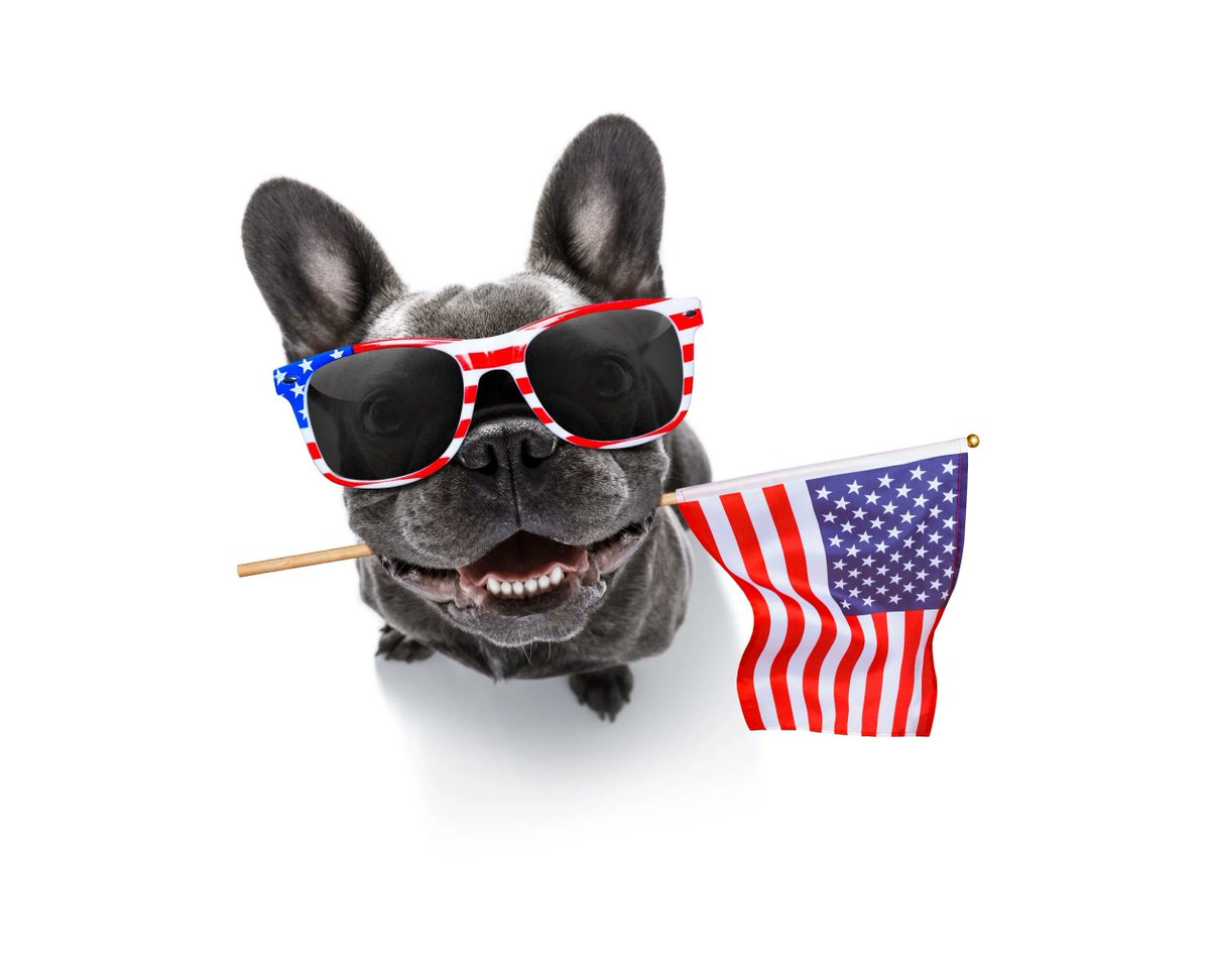 FocalForensics's tweet photo. 🎆 Happy 4th of July from Focal Forensics! 🇺🇸🎉

As we celebrate this day of freedom and independence, we're grateful for the opportunities that this great nation provides. We salute the brave men and women who have fought for our liberties.

#Happy4thofJuly #FocalForensics https://t.co/RRBT6qoxrQ