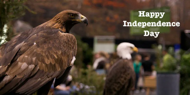 Happy #July4th from LafeberVet #IndependenceDay #IndependenceDay2023 #July4