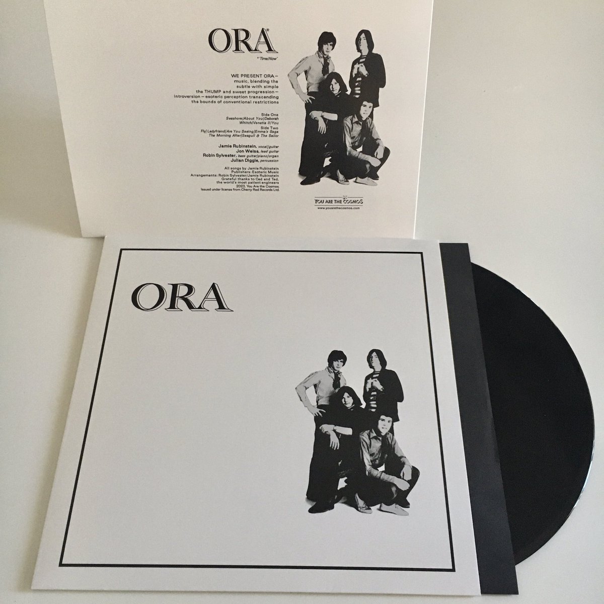 Out now! A must for anyone interested in UK folk/psych-pop! Originally released in 1969. Reissue on vinyl 180 grs. Limited edition. youarethecosmos.com #psych #popsike #psychfolk #ukfolk #ukpsych