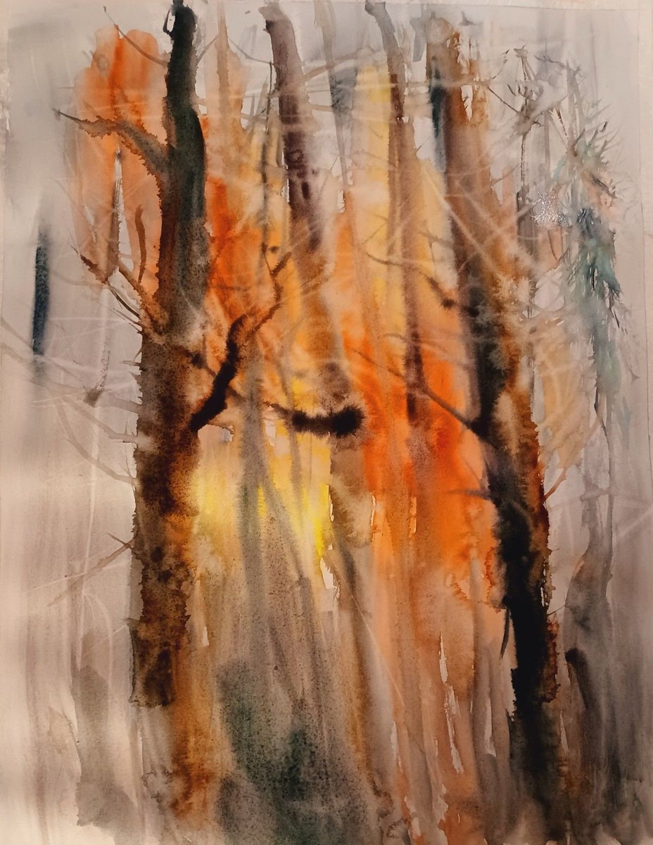 ANGELASIMULA's tweet photo. Sono felice di condividere l'ultimo arrivato nel mio negozio #etsy: Sunset in the woods https://t.co/m0LoNblvdf #arancione #marrone #nonincorniciato #contemporaneo #verticale #carta #watercolor #painting #trees https://t.co/DcKlHWXpIu
