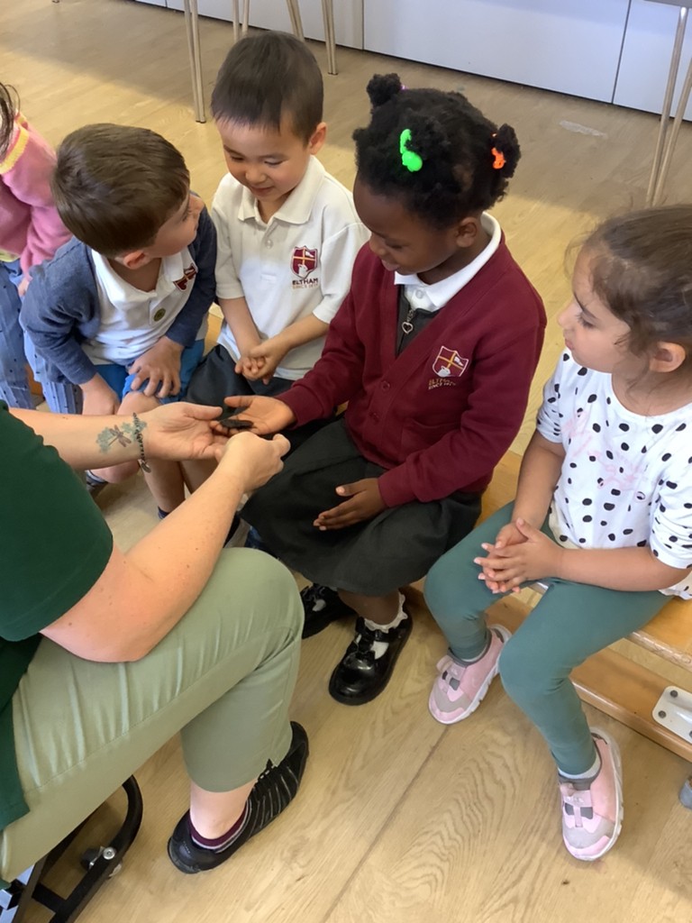 EYFS had the enormous pleasure of welcoming <a href="/WigglyWildShow/">Cairis</a> this week to help bring their 'Bugs &amp; Buds' topic to life. The children explored a mixture of creatures, dead and alive. They experienced a hermit crab, millipede, bearded dragon, hissing cockroach and many, many more.