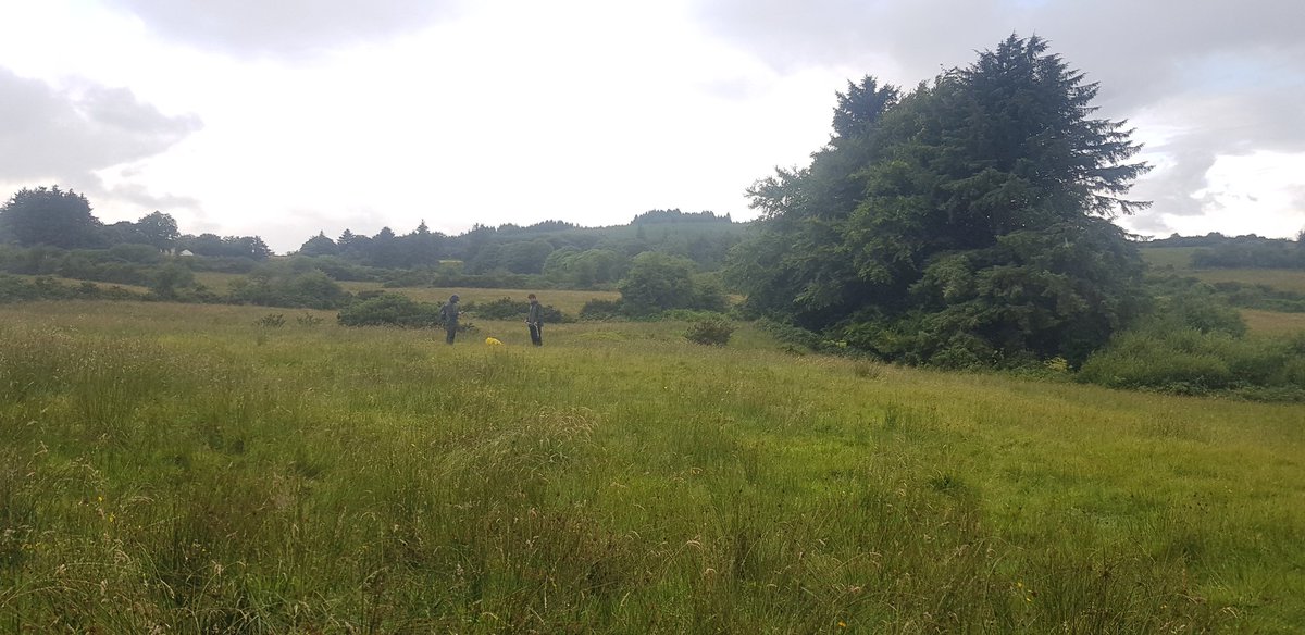 Phoebe O'Brien tweet media