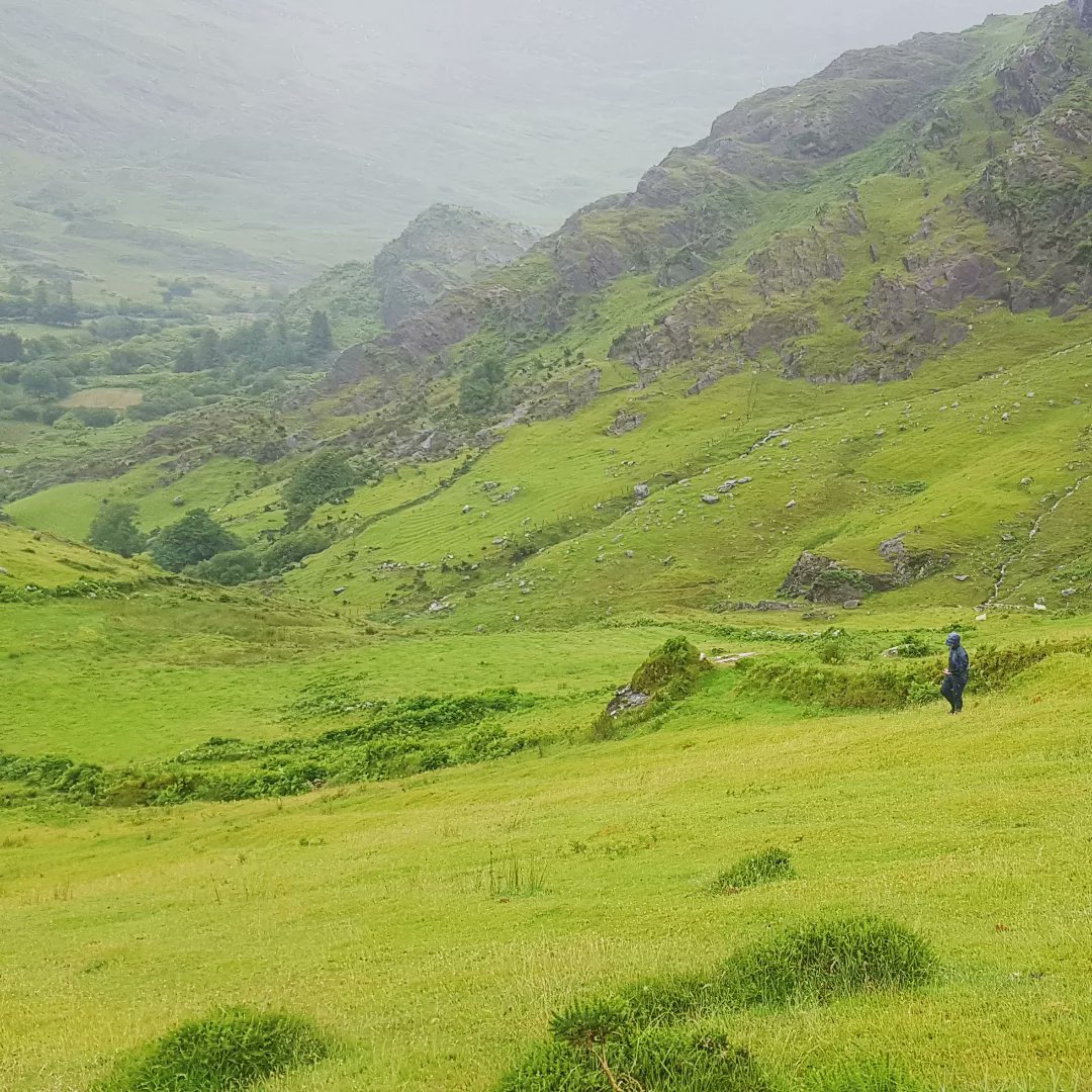 Phoebe O'Brien tweet media