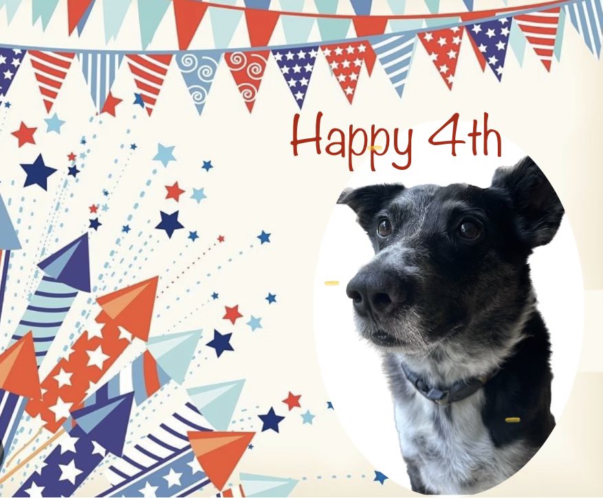 Happy 4th of July Friends 🎆🎇🇺🇸