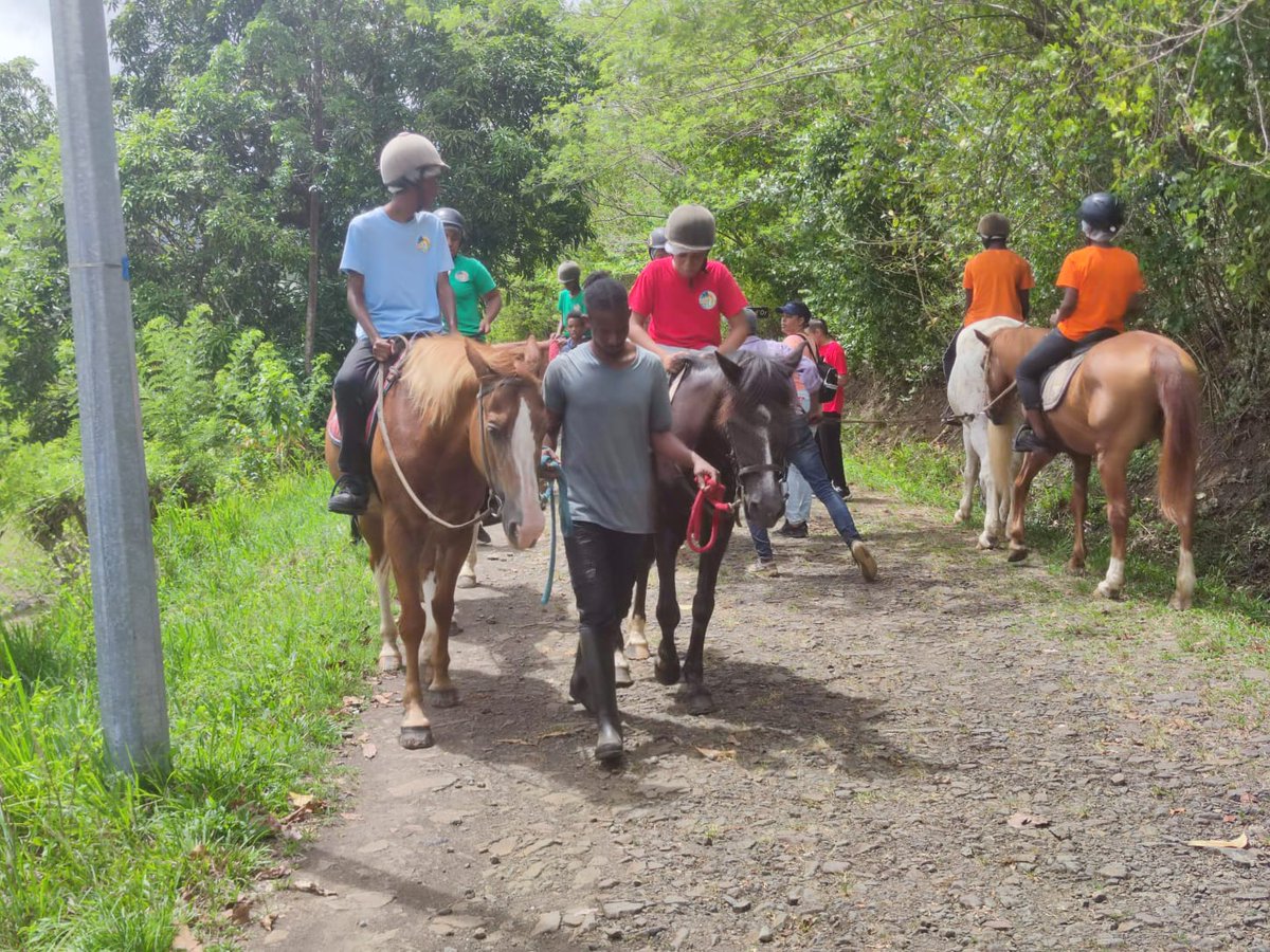 Collège Edmond Lucien Valard de Saint-Esprit tweet media