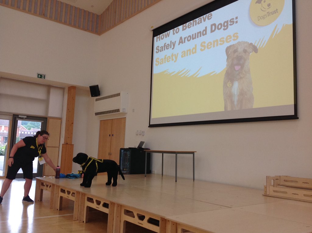 SPMVPine's tweet photo. Today we had a visit from the @DogsTrust to teach us all about looking after dogs, how to behave around dogs to keep safe, how we can keep our dogs happy and about the amazing work that the Dogs Trust do to care for and re-home dogs 🐶 🐾 @SPMVCedar https://t.co/KpUkl3sEHh