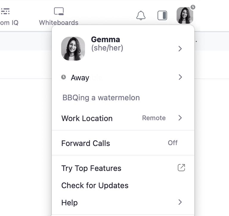 Zoom on Twitter "What’s your current July 4th status in Zoom Team Chat