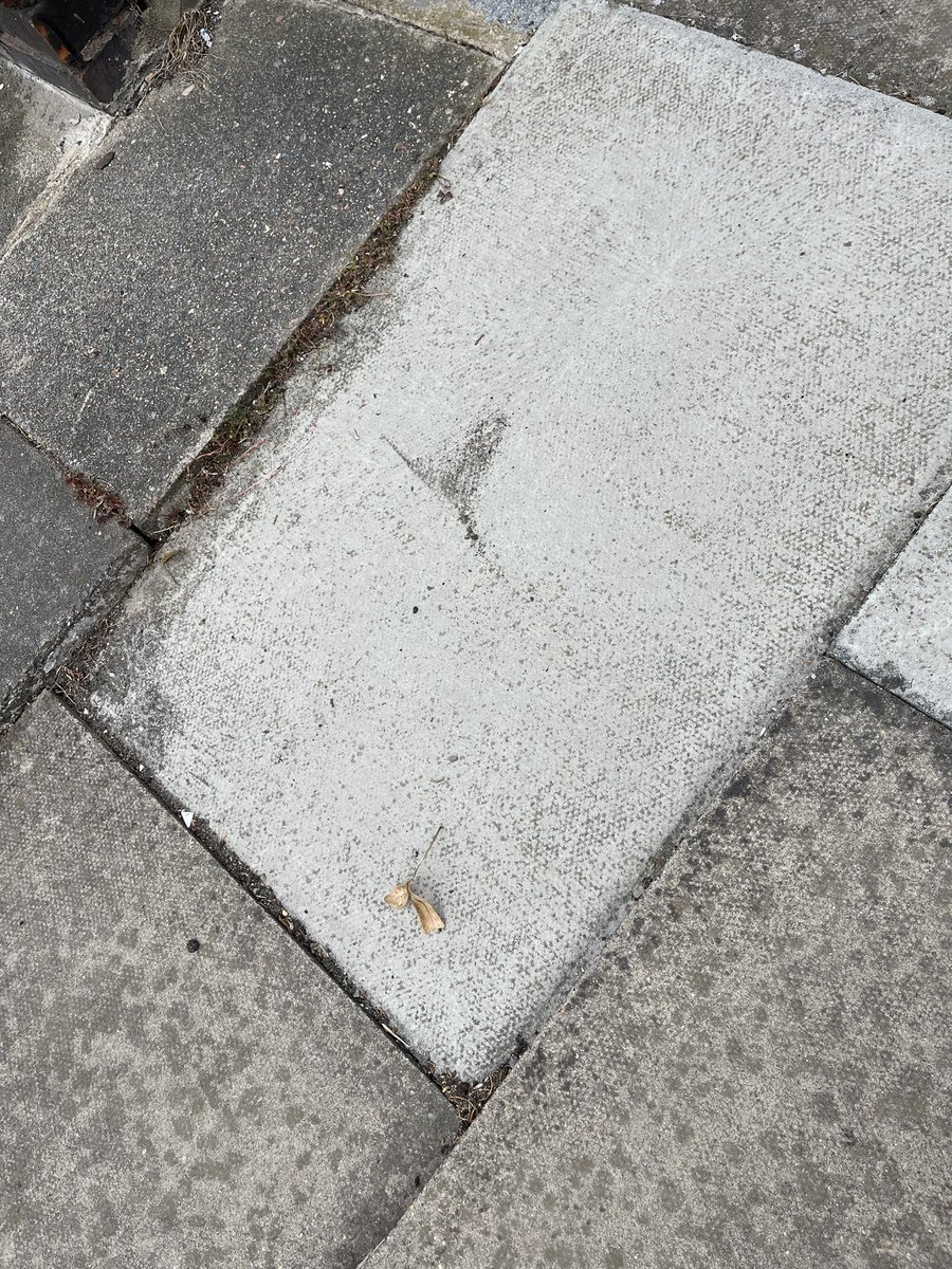 Angela Harrison tweet media