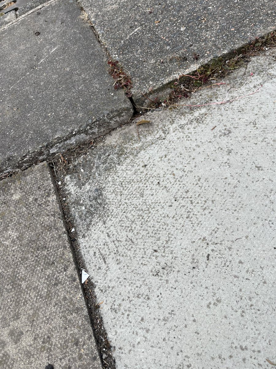 Angela Harrison tweet media