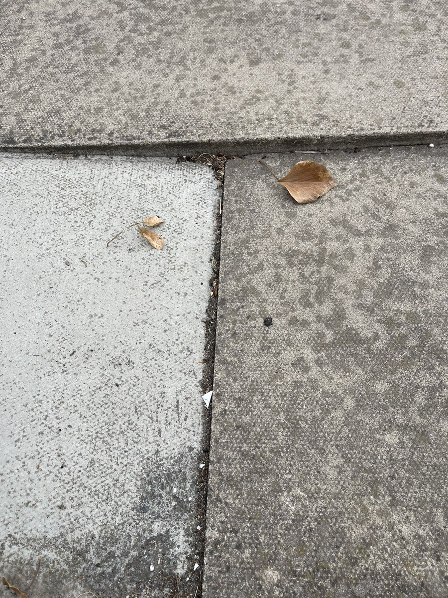 Angela Harrison tweet media