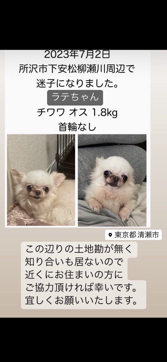 2Au1c's tweet photo. #拡散お願いします #拡散希望RTお願いします #拡散希望 #迷子犬 #迷子犬情報 #���ワワ https://t.co/p414imwhaS