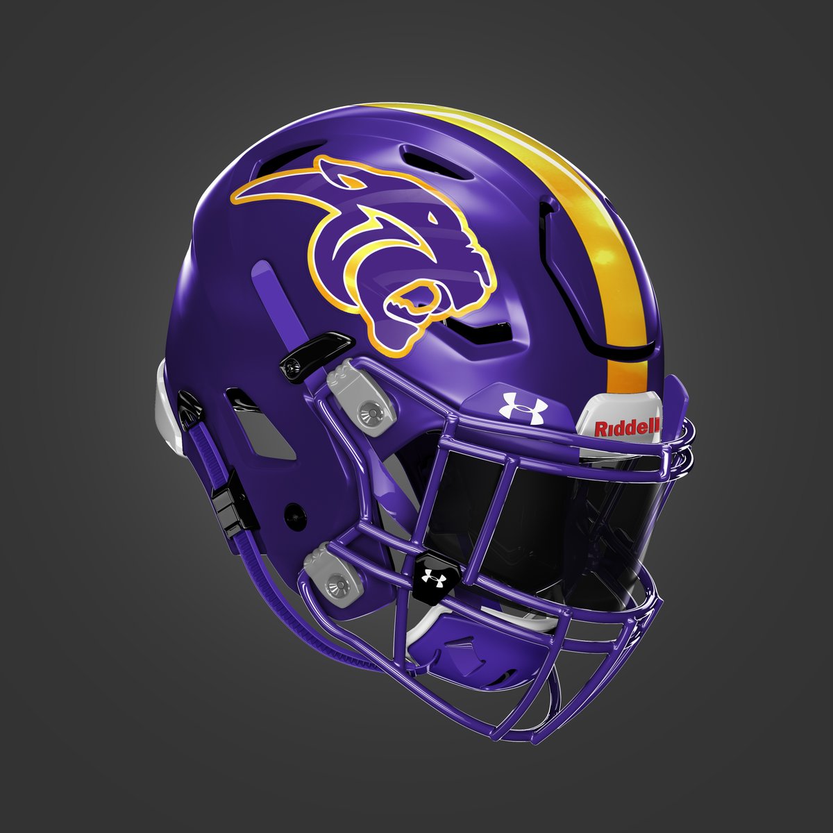 Missouri Helmet Project tweet media