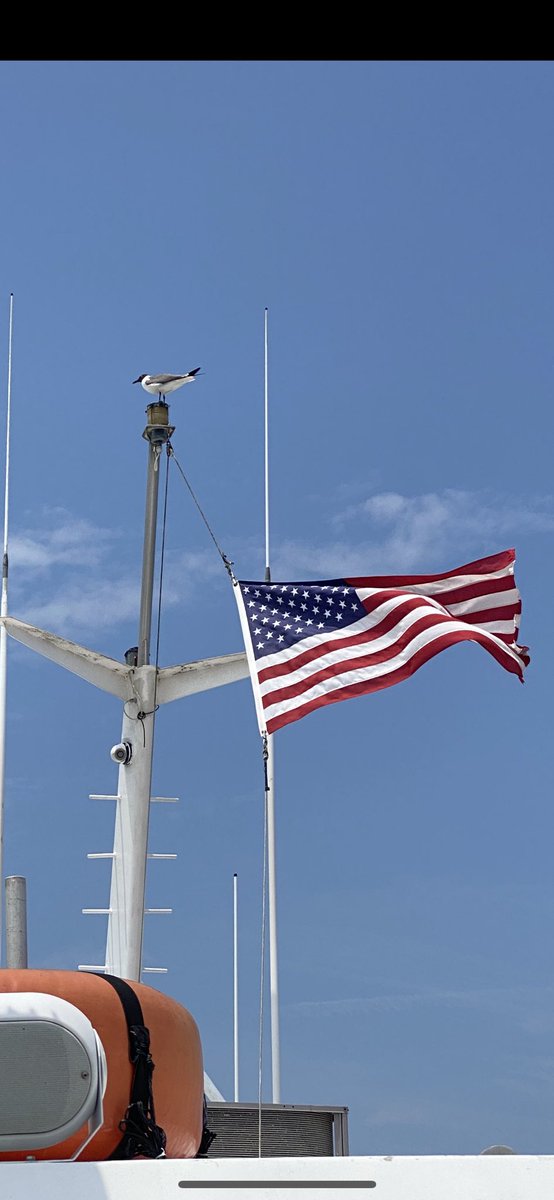 RobinWhitcomb1's tweet image. Happy 4th July 🇺🇸