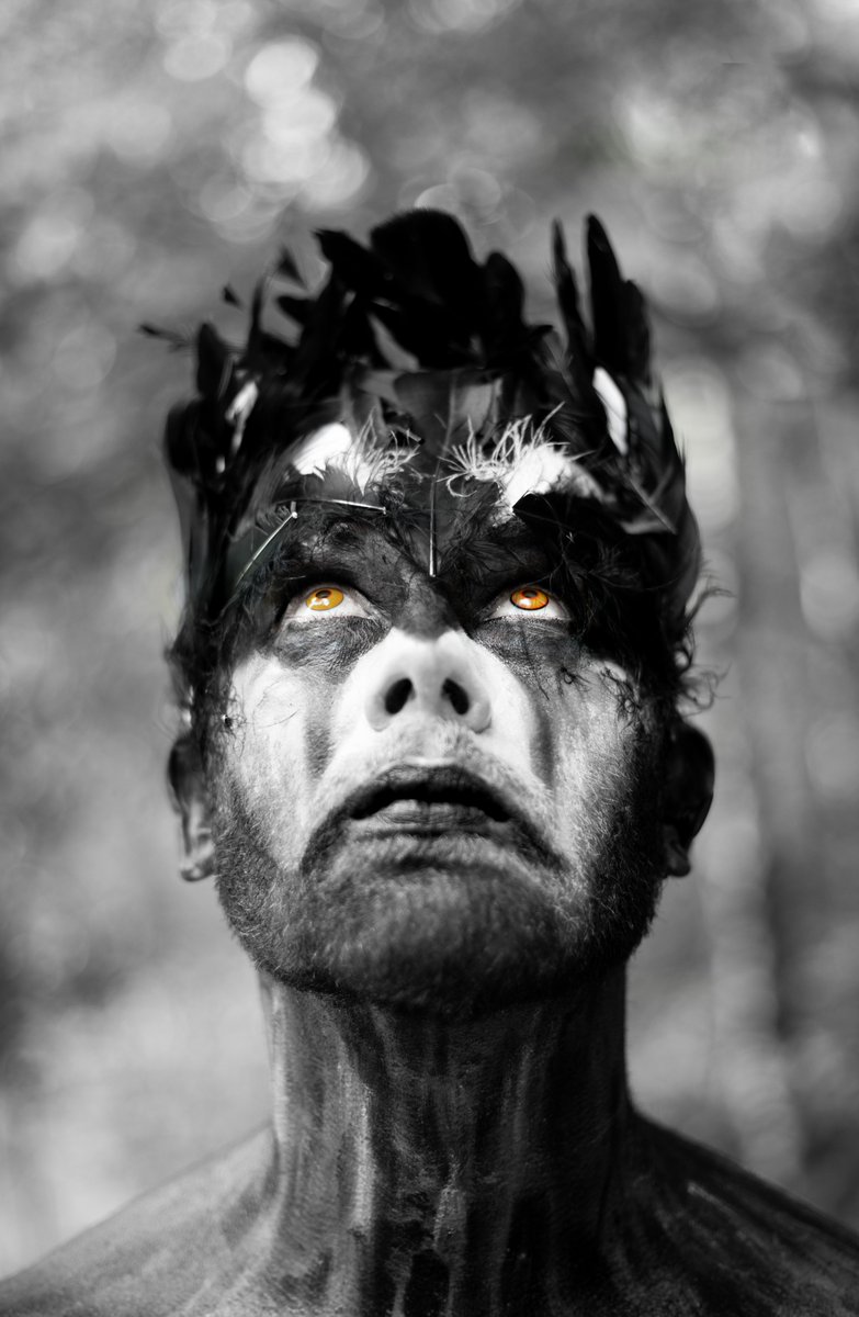 Nonsuch Studios tweet media