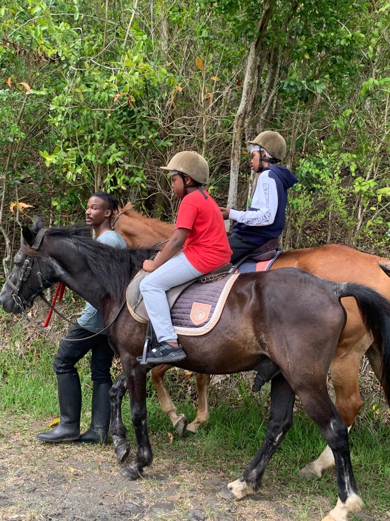Collège Edmond Lucien Valard de Saint-Esprit tweet media