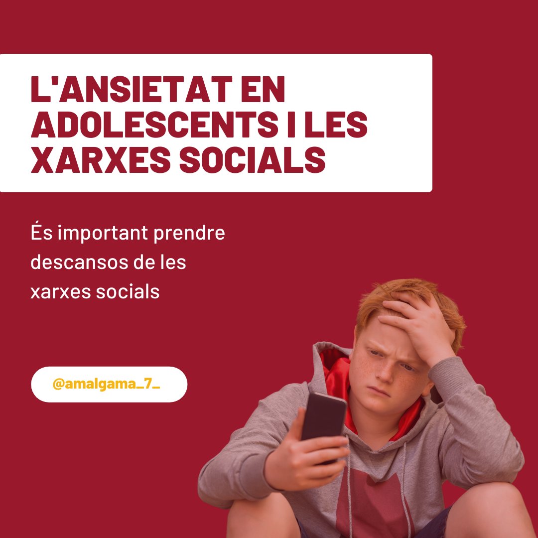 Amalgama7 tweet media