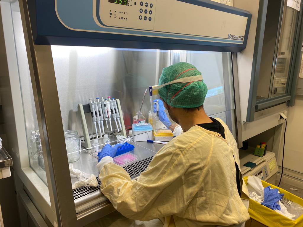 COVinhib's tweet photo. Just got back from Oslo where I have been working with SARS-CoV-2 at @Oslounivsykehus. I infected Vero E6 cells with live virus to evaluate the effect of our potential antivirals.
#SARSCoV2 #EEAgrants #ICBAS #Portugal #Norway #virologylab #covid19 #microbiology #virology https://t.co/bnxkykCuFE
