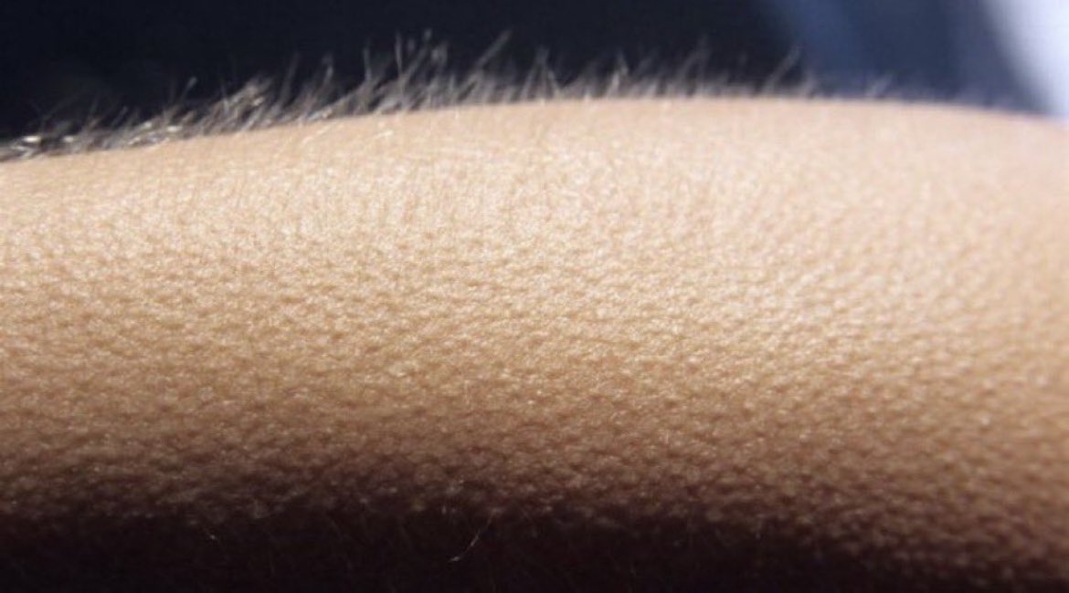 Dave Campbell's — TexasFootball.com tweet media