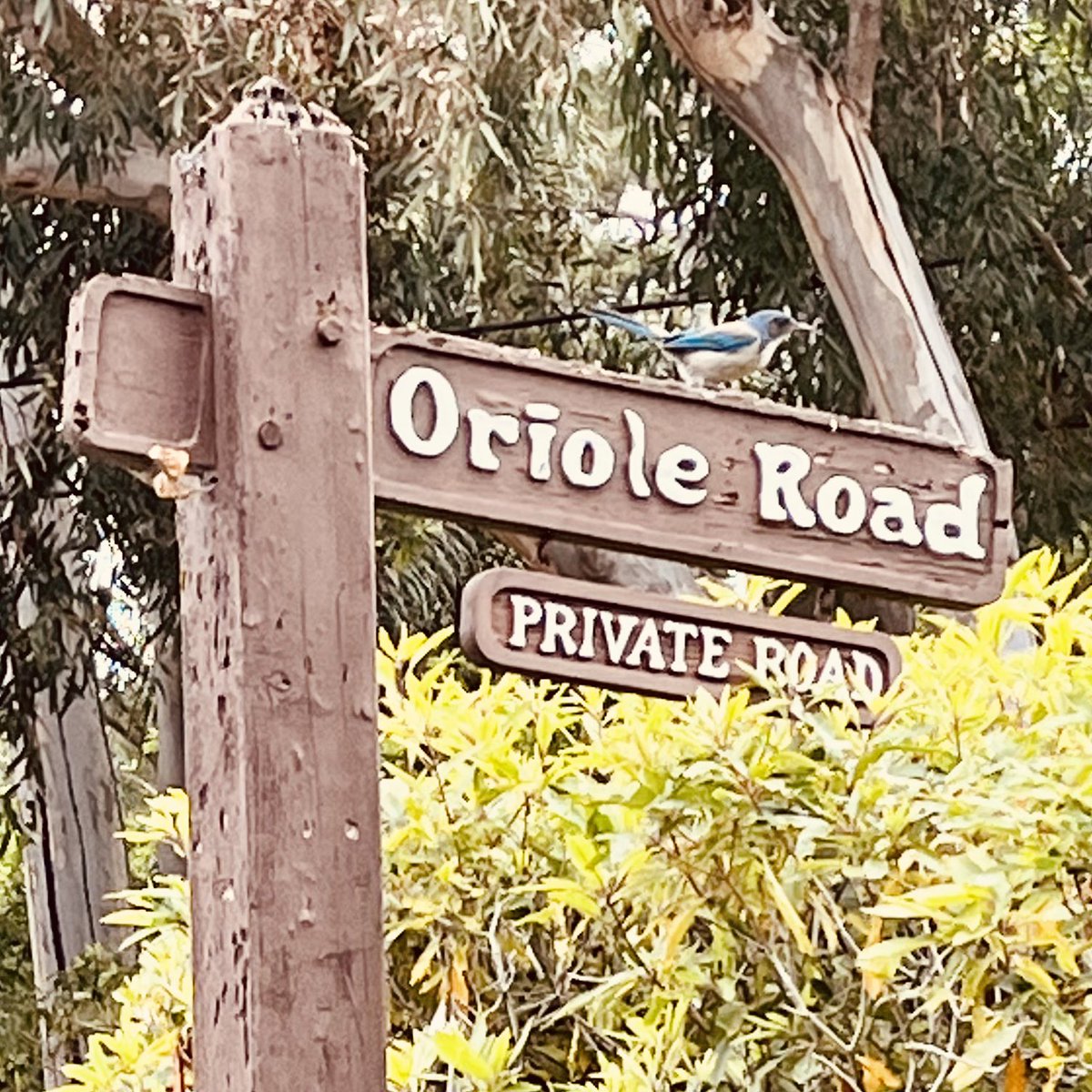 David DeGusta tweet media