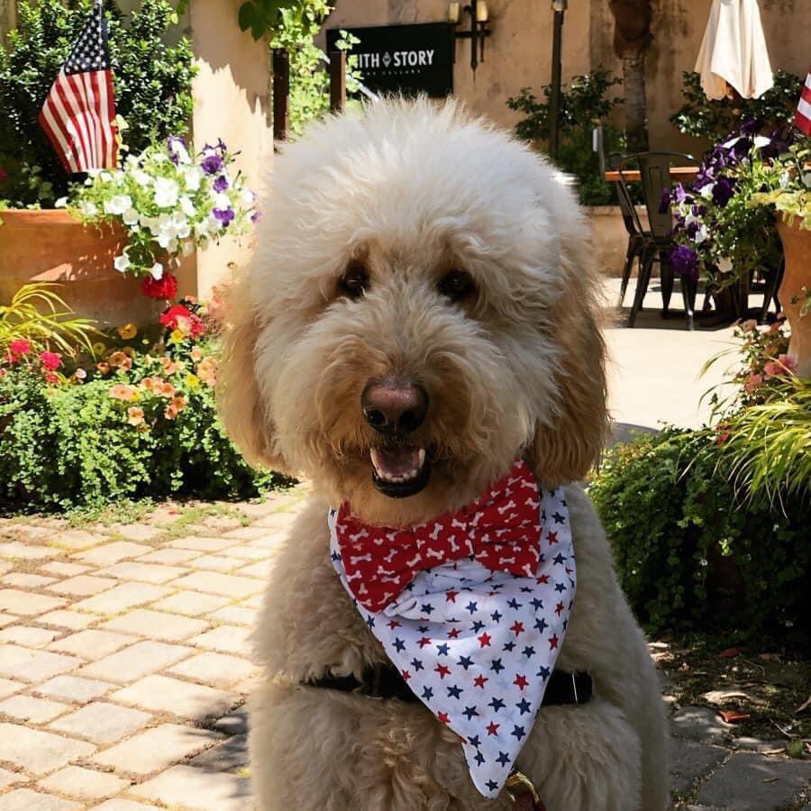 @fairmontsonoma Happy 4th from Lord Sandwich too!