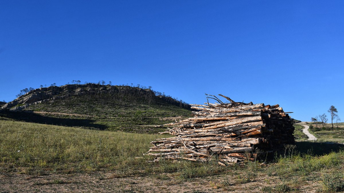 SomSegarra's tweet photo. Passejant per #Bellprat  dos anys després de l'incendi forestal  que cremà 1.657 ha, de les quals 1.069 en aquest municipi #baixasegarra
@lasegarra @BellpratSE @Espitllera  @caminsnatura https://t.co/bKGcsfgRAp