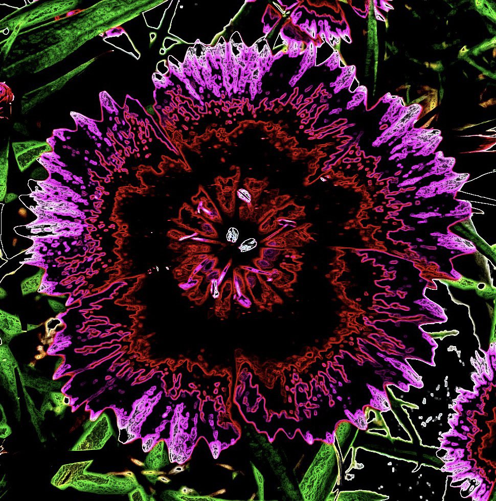 BearBullArt's tweet photo. Let’s add another one to my building collection of #NaturalGeometry 🖼️ 

Do you see these #vibrations snapped in time?

#digitalartist #Foundation #artofnature #observe #create https://t.co/7ScElXuffd