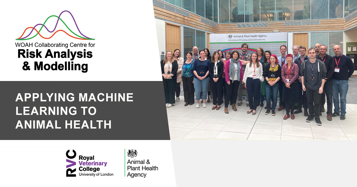 RoyalVetCollege's tweet image. 🤖 Veterinary epidemiologists from @APHAgovuk and @RoyalVetCollege recently hosted a productive workshop to discuss applications of machine learning in animal health scenarios #WOAHCCRAM #APHAscience #machinelearning #animalhealth

➡️ Read more at: rvc.ac.uk/research/risk-…