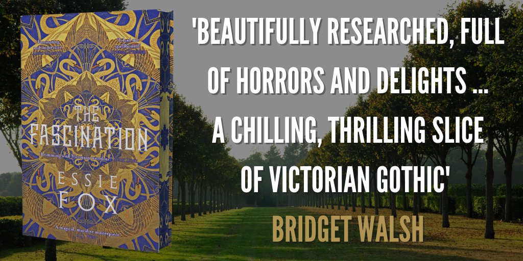 🦢🖤 ✴️The INSTANT Sunday Times BESTSELLER!✴️ This summer's most RAVISHING historical read… @essiefox's DAZZLING, immense gothic novel #TheFascination 📖EXQUISITE hardback: geni.us/kNew 📲geni.us/SBCu0 🦢🖤 #HistoricalFiction #BookTwitter #SummerReading