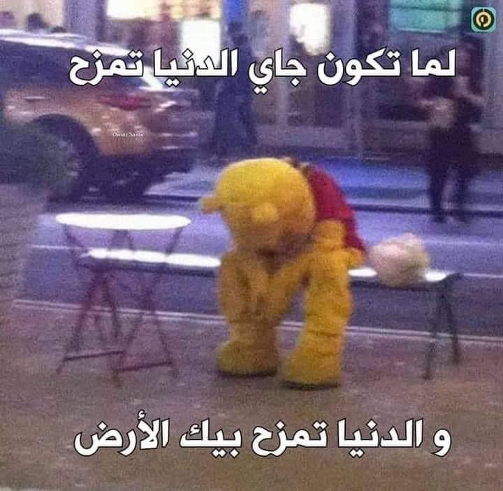 كل يوم صورة معبرة (@memesoficiial) on Twitter photo 
