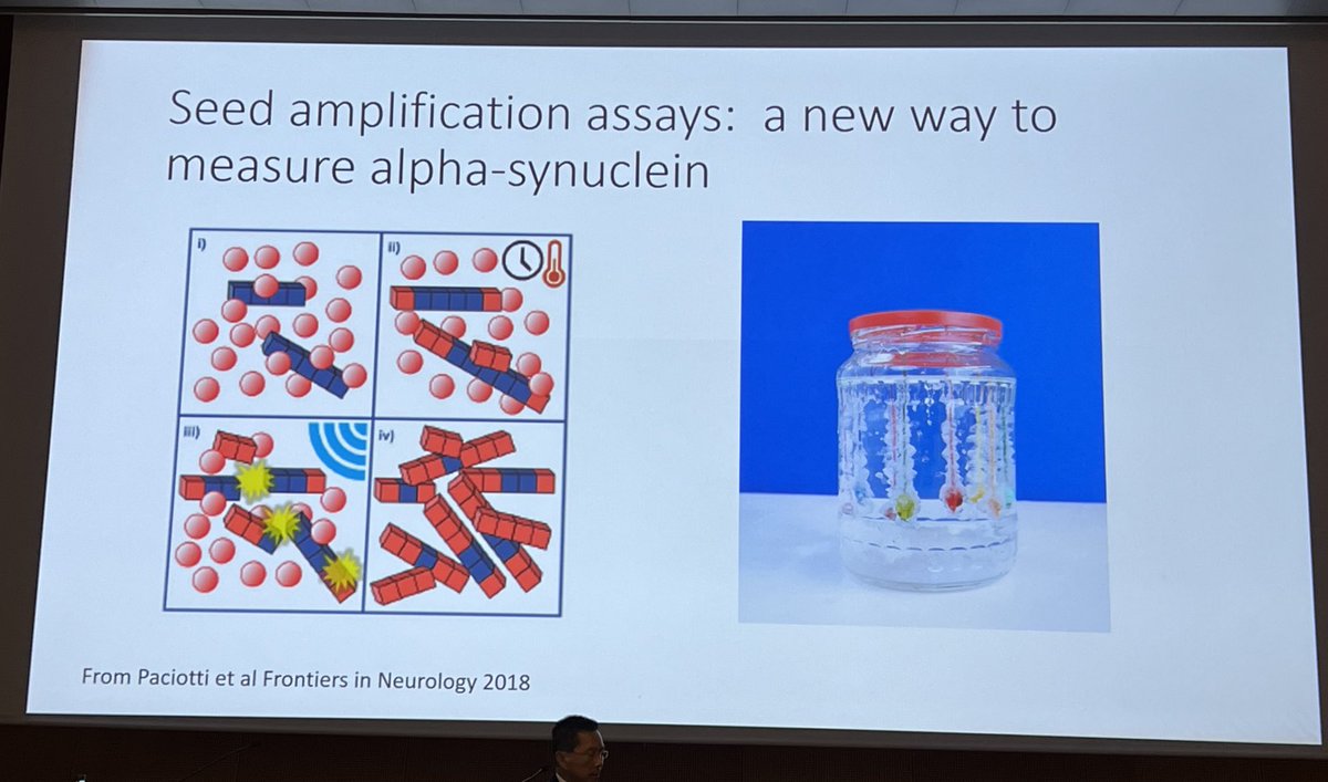 MichaelOkun's tweet image. A good way to explain how the synuclein seeding assay works? Andy Siderowf from ⁦@PennNeurology⁩ cleverly compares to magic rocks or magical crystals. #wpc2023