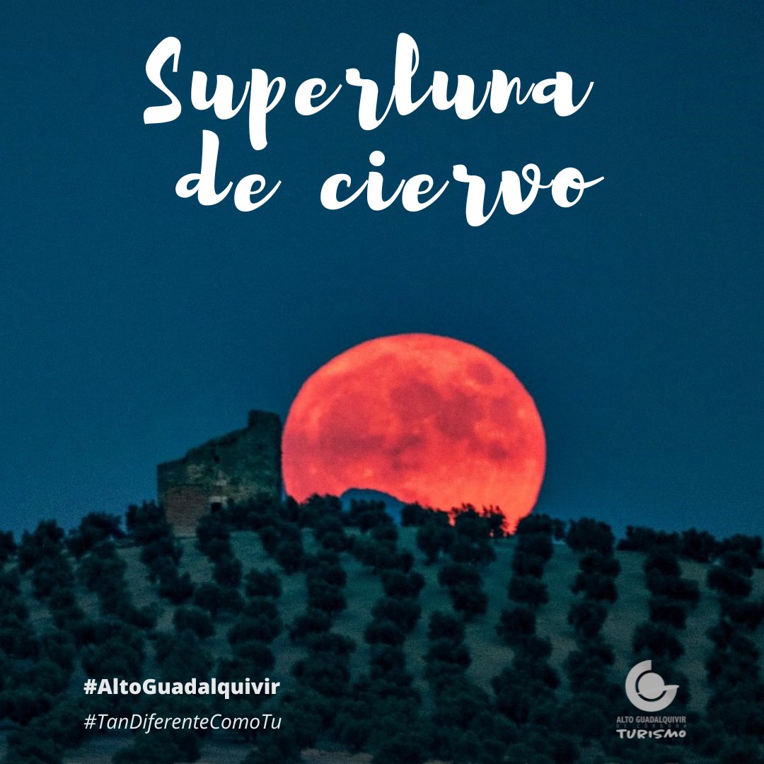 Alto Guadalquivir Turismo tweet media