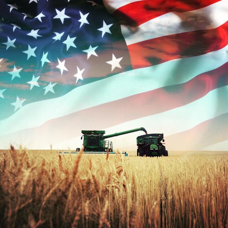 Happy 4th of July from the staff at Farmers Hot Line.