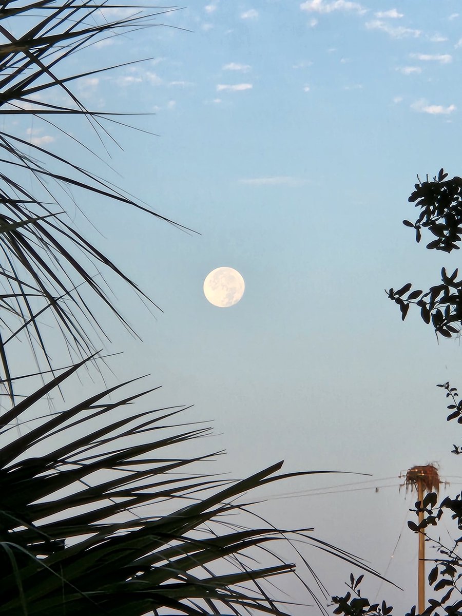 spikavelly's tweet photo. MoonDayLight https://t.co/bkB4i4nnlW