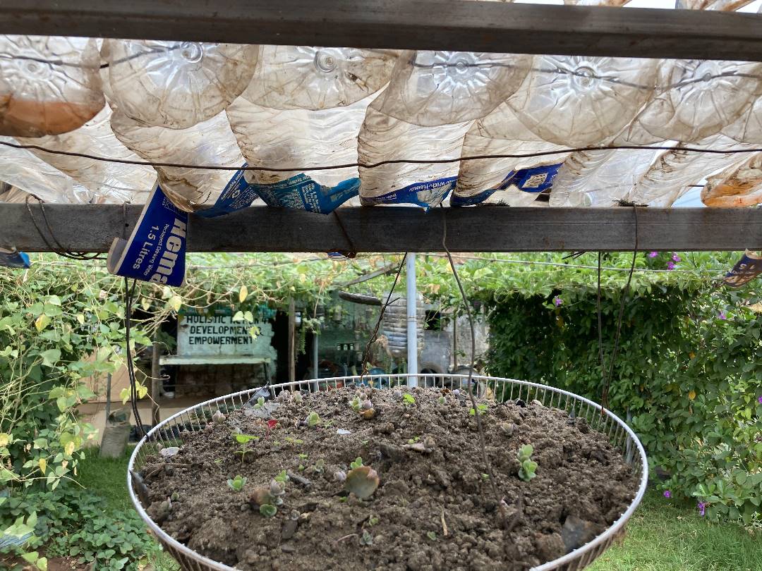 Holistic Actions for Development and Empowerment tweet media