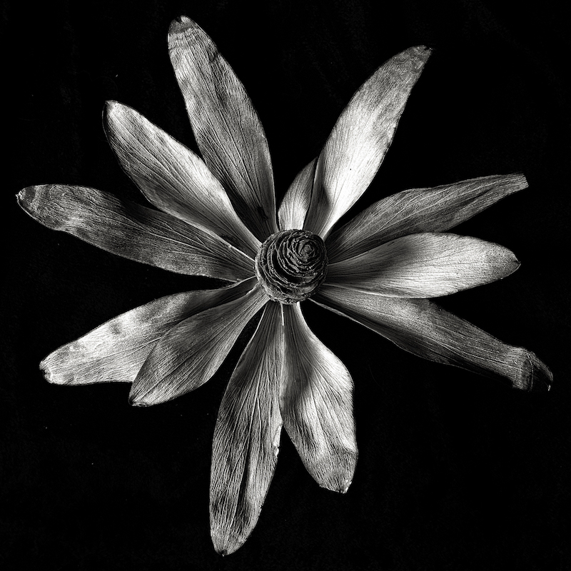 #shadows in #photography More than absence of light: As definite #shapes they're #compositional elements, when lacking shape, they counterpoint lighter parts of an #image, #guiding the #eye. Premium article by positives
bit.ly/3JIFTmS 
#nikonians #learning #community