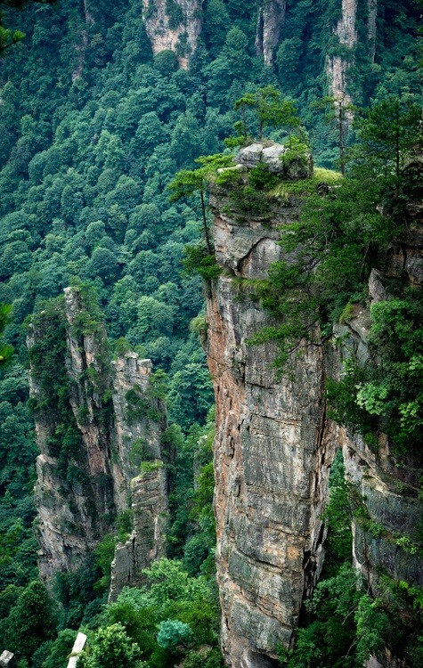 balanceinstyle's tweet photo. Rock Spires, Hunan, China #RockSpires #Hunan #China https://t.co/wOknBjNWiT https://t.co/GtgQRZ9D0L