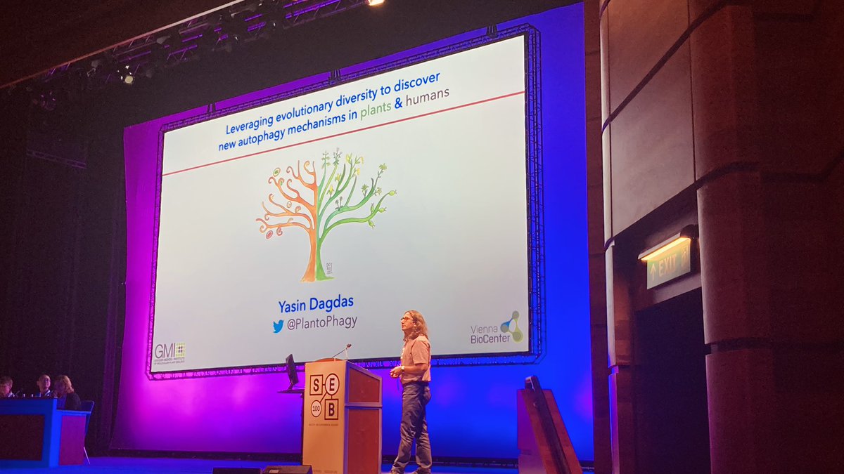 Uknow_Wh0's tweet photo. Brilliant!!
Plant President Medallist talk by @PlantoPhagy 
@SEBiology https://t.co/hEy3SmfqCi