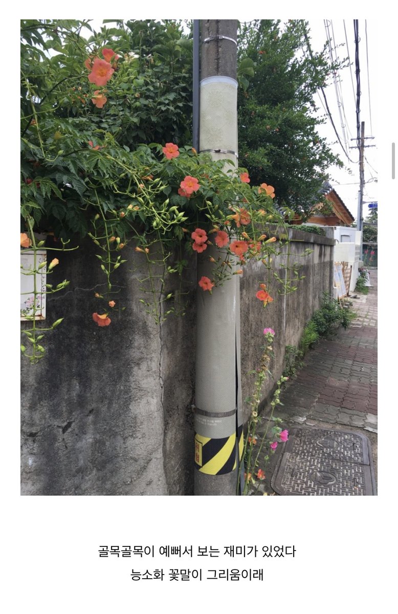 shadeofsummerr's tweet photo. 오랫동안 못 본 친구가 블로그에 남긴 댓글 보고 마음이 이상해졌어... https://t.co/5NAoD7jhWF