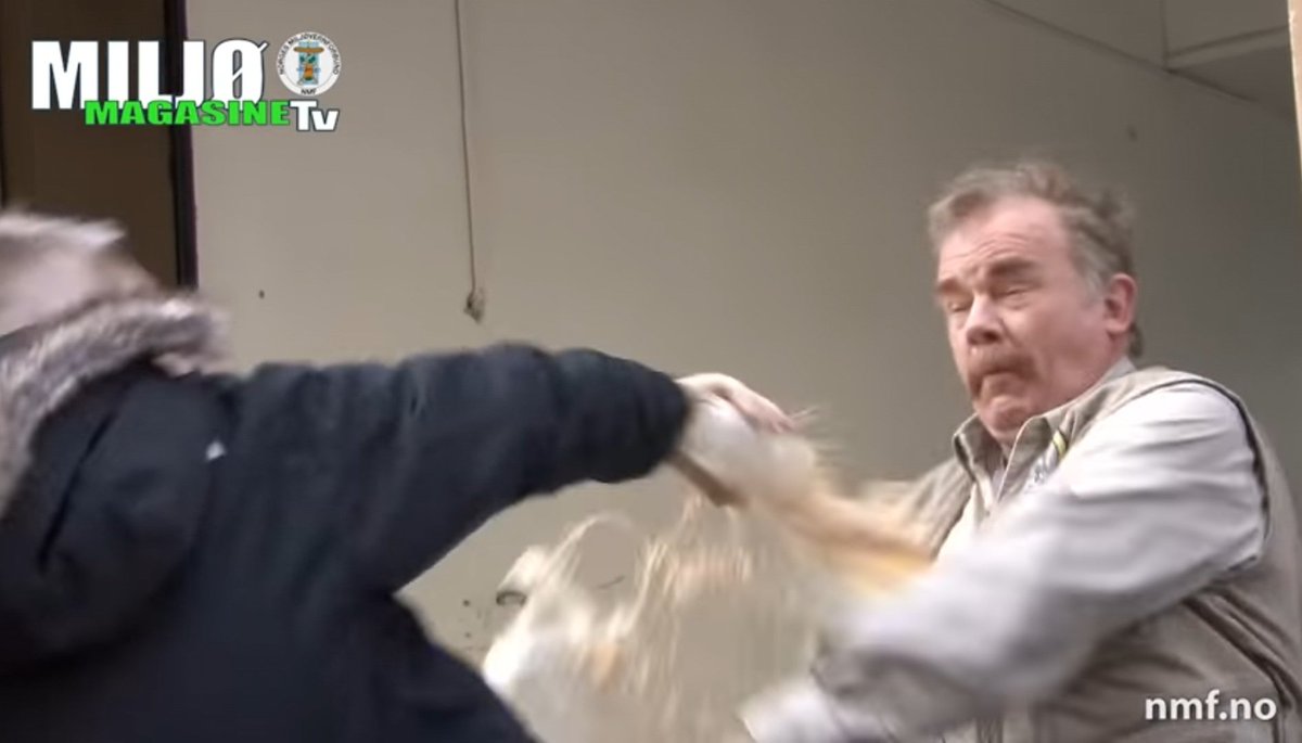 Da Øivind Bergh ble konfrontert i virkeligheten for hans aggressive woke holdning på Twitter svarte han med å kaste varm kaffe på motdebattanten. Disse norske woke menneskene kjenner ingen grenser.