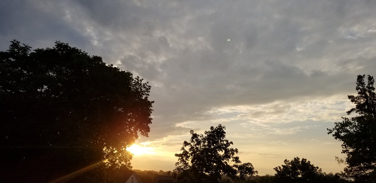 SisterGirlOrg's tweet photo. 🦋 Take Care Tuesday 🦋
Gratitude on high🙌🏾
My morning wake up 🐦...even though I dozed off 2x while making this post😂. Top of the morning, Everyone ❤ Sunrise Window Chronicles #7daysofgratitude #Iamsistergirl #ANewMeJournal #ANewMe #healthadvocate #healthline #TakeCareTuesday https://t.co/kV8Pt2zt9l