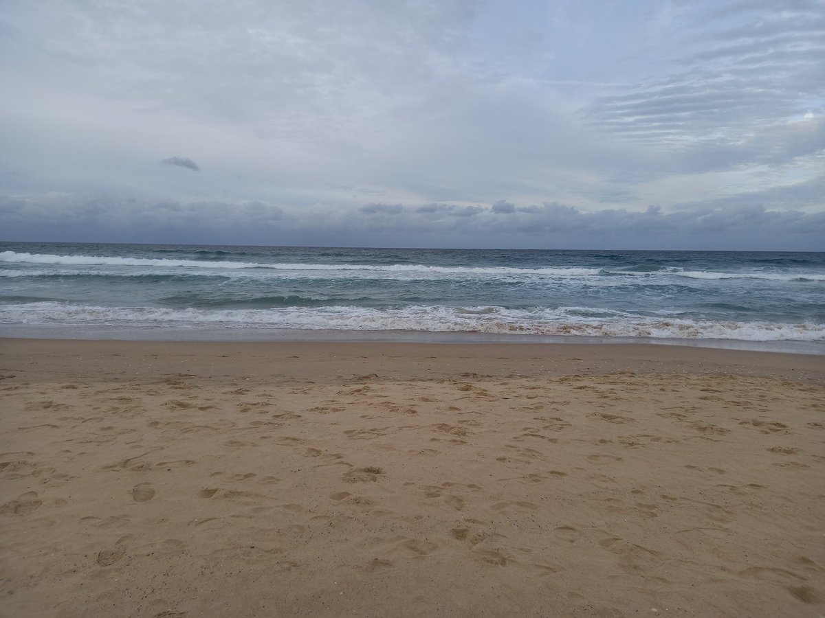 rebeccabhull's tweet photo. #Yugambeh #Kombumerri, Gold Coast, Australia for the #AMSA2023 conference.
#AustralianMarineScienceAssociation https://t.co/fujc11Y0DM