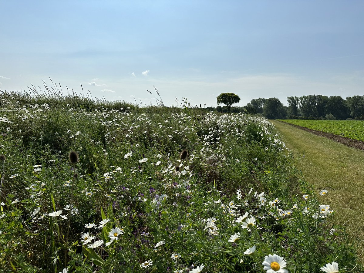 Frederick Hiam Ltd tweet media