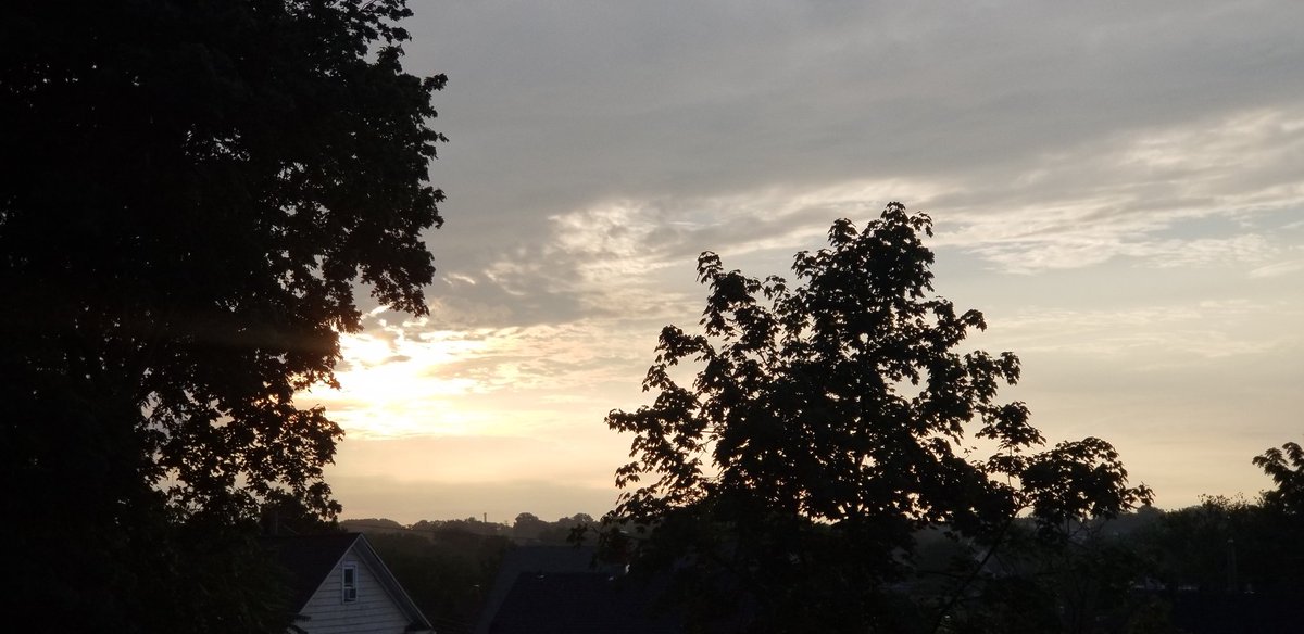 SisterGirlOrg's tweet photo. 🦋 Take Care Tuesday 🦋
Gratitude on high🙌🏾
My morning wake up 🐦...even though I dozed off 2x while making this post😂. Top of the morning, Everyone ❤ Sunrise Window Chronicles #7daysofgratitude #Iamsistergirl #ANewMeJournal #ANewMe #healthadvocate #healthline #TakeCareTuesday https://t.co/kV8Pt2zt9l