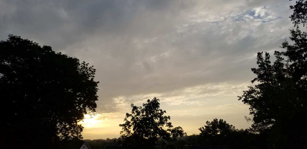 SisterGirlOrg's tweet photo. 🦋 Take Care Tuesday 🦋
Gratitude on high🙌🏾
My morning wake up 🐦...even though I dozed off 2x while making this post😂. Top of the morning, Everyone ❤ Sunrise Window Chronicles #7daysofgratitude #Iamsistergirl #ANewMeJournal #ANewMe #healthadvocate #healthline #TakeCareTuesday https://t.co/kV8Pt2zt9l